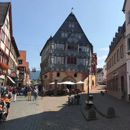 Ferienwohnung Main Boarding House Miltenberg Exterior foto